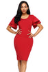 Sexy Red Flare Sleeve Back Slit Sheath Dress